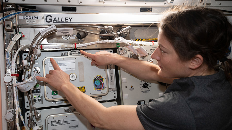 NASA astronaut and Expedition 59 Flight Engineer Christina Koch