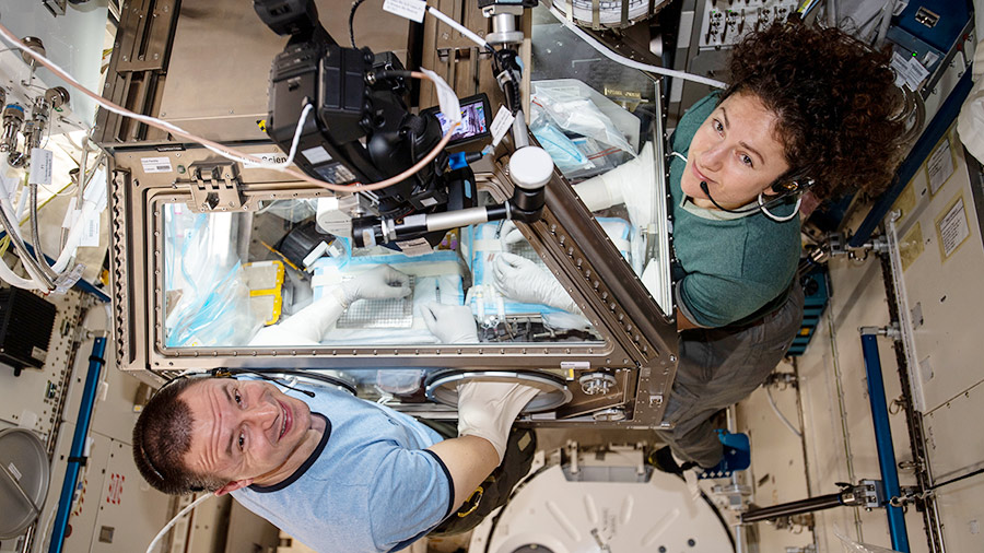 NASA astronauts Andrew Morgan and Jessica Meir conduct research operations