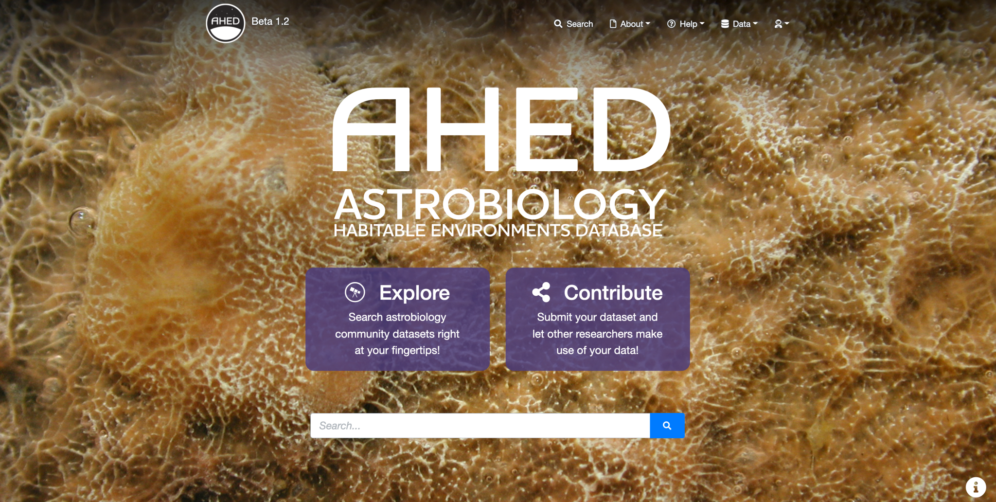 ahed landing page