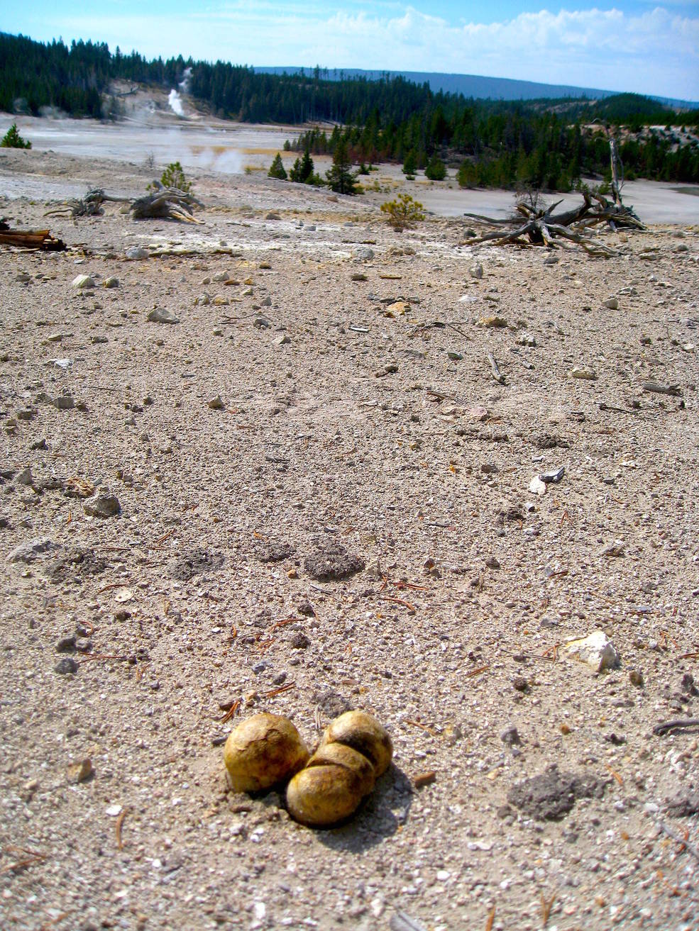 Three green and yellow tinted bulbs in a barren landscape, with steam rising in the distance.