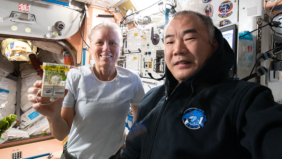 Astronauts Shannon Walker of NASA and Soichi Noguchi of JAXA (Japan Aerospace Exploration Agency) are pictured in the International Space Station's Unity module as Walker displays plants grown for the Asian Herbs in Space space agriculture study.