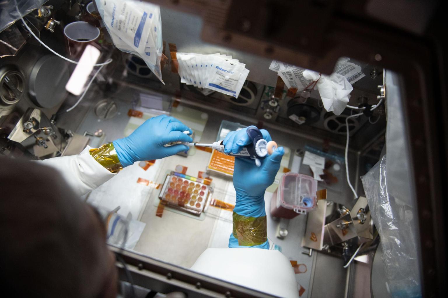 image of astronaut’s hands wearing blue gloves as he works on an experiment inside a glovebox