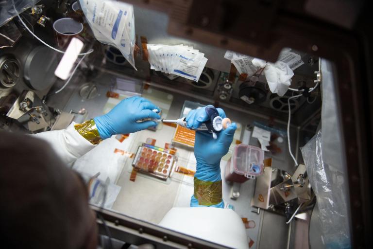 image of astronaut’s hands in glovebox