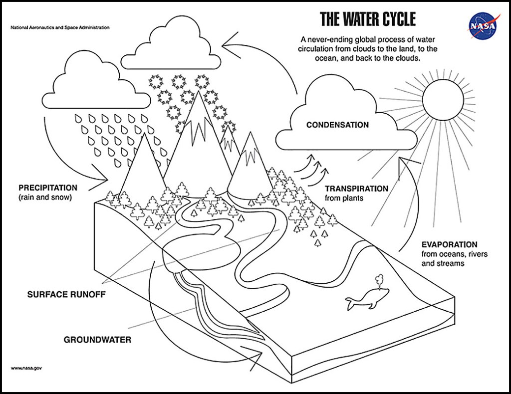 Black and white illustration of the water cycle