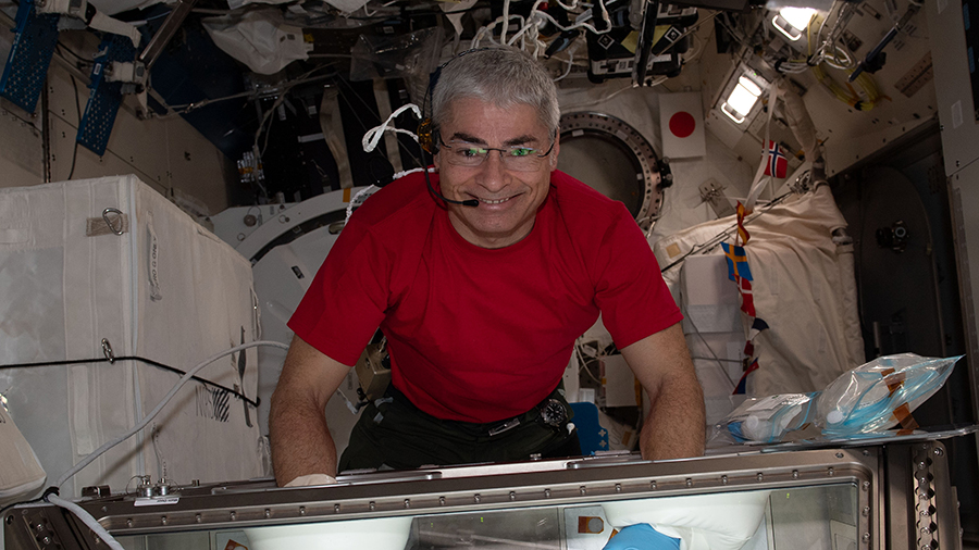 Astronaut Mark Vande Hei conducted kidney cell research inside the Kibo laboratory module's Life Science Glovebox back in June 2021.