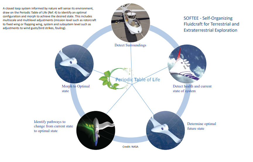 Glenn HS Capstone Bio Inspired Design