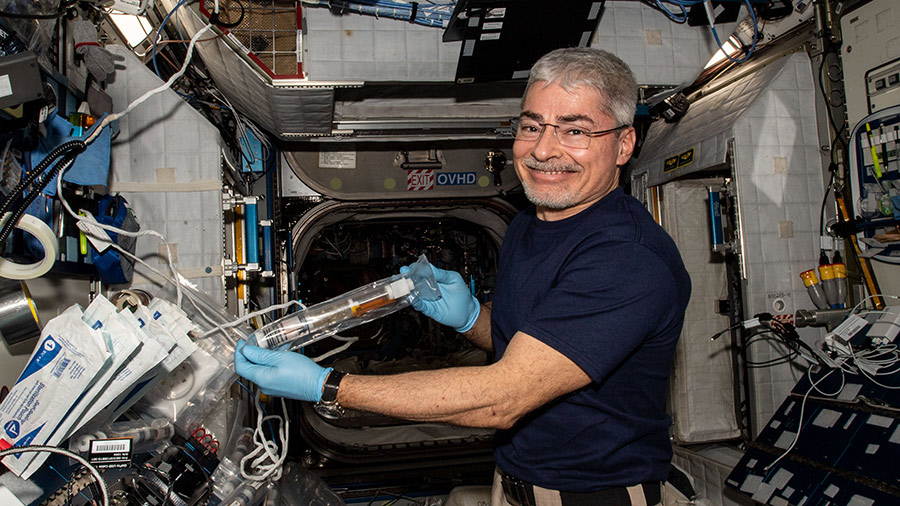 NASA astronaut Mark Vande Hei is studies cotton genetics for the Plant Habitat-5 space agriculture experiment.