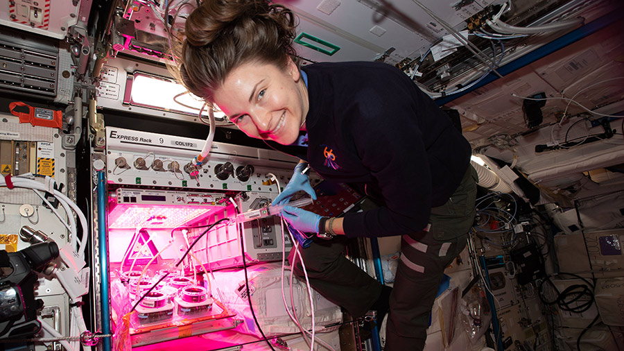 Astronaut Kayla Barron works on a space agriculture experiment that explores how to grow fresh food in space.