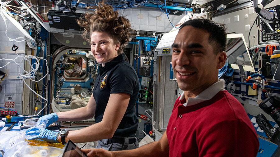 Astronauts Kayla Barron and Raja Chari harvest cotton cell samples to explore the genetic architecture of plant regeneration in microgravity.