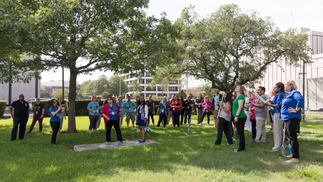A large group of teachers performing an experiment outside under a tree
