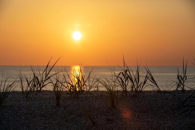 A beautiful sunrise is captured over sand dunes at the beach at NASA’s Kennedy Space Center in Florida on July 15, 2020. Teams at Kennedy are working on dune restoration efforts, which has included bringing about 450,000 cubic yards of beach-quality sand in to Kennedy’s beaches to build up dunes that have been affected by beach erosion and storm surges. Once the dunes were built up, native coastal vegetation was replanted to help stabilize the dunes and provide a habitat for wildlife at the Florida spaceport. The first phase of dune restoration efforts are now complete, and the second phase is scheduled to be completed by March 2021.