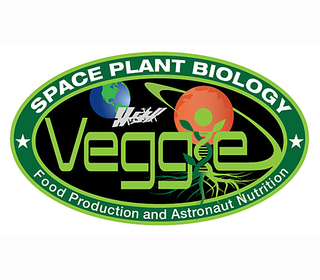 Veggie logo