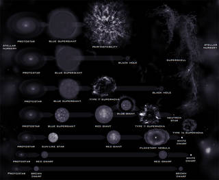 Stellar Evolution