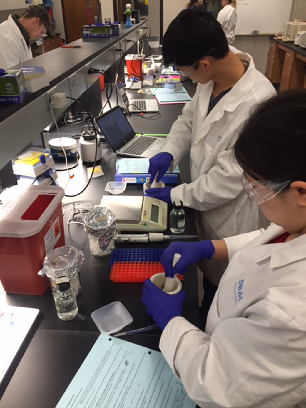 Des Moines Area Community College students in a Biotech lab