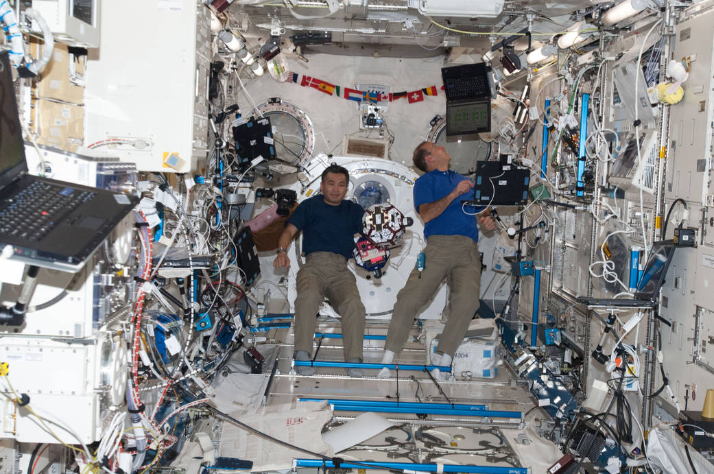 Astronauts Koichi Wakata and Rick Mastracchio