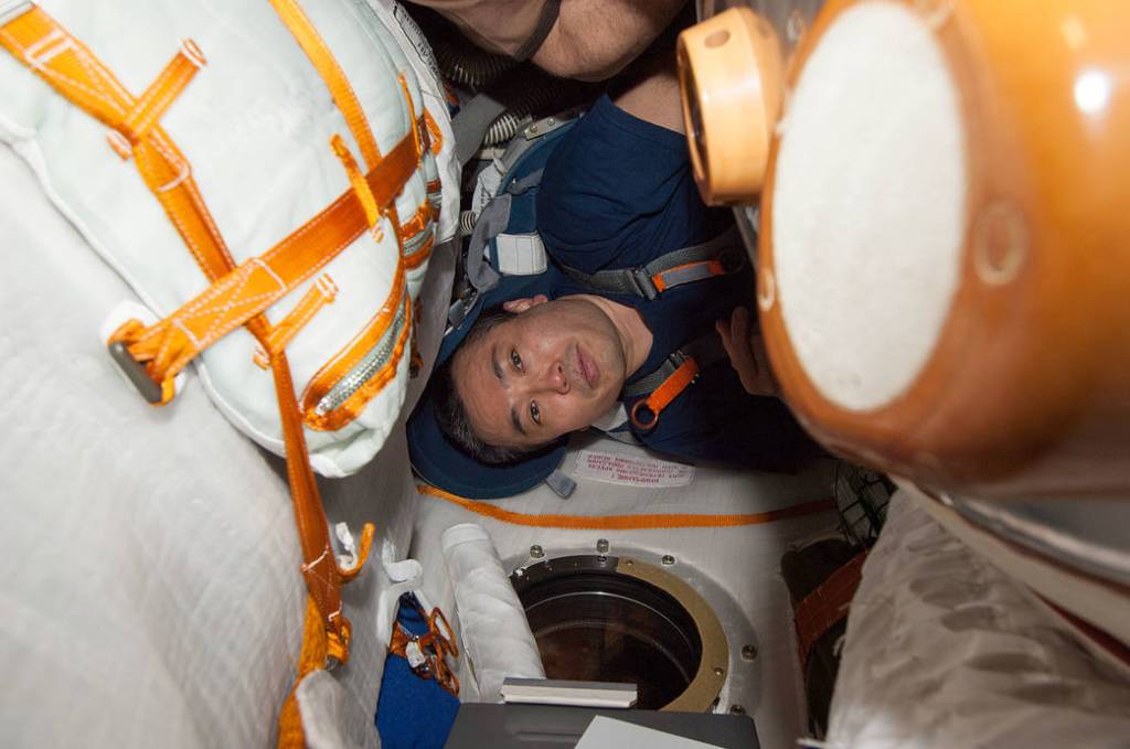 Commander Koichi Wakata Checks Soyuz Seat