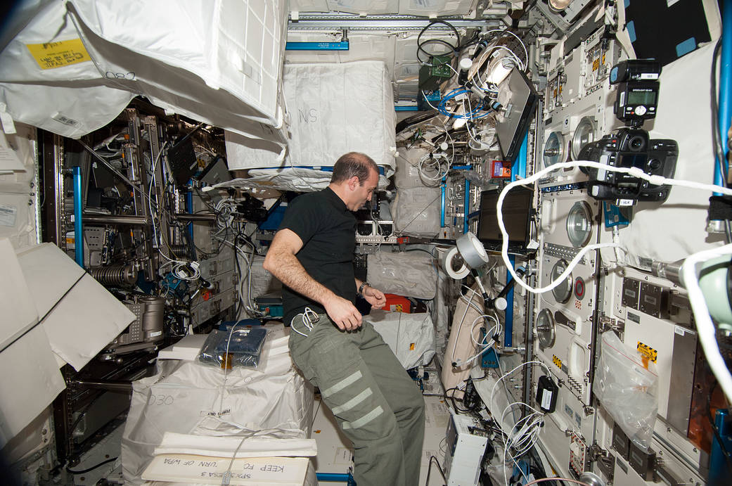 Astronaut Rick Mastracchio in Station's Columbus Lab