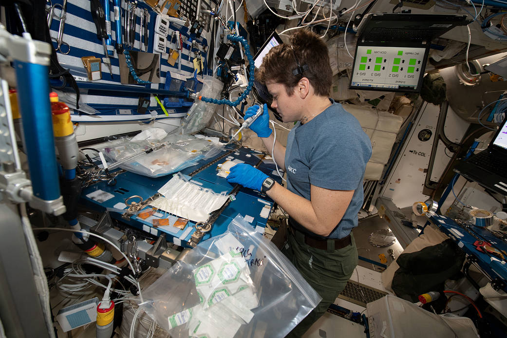 NASA Astronaut Anne McClain Conducts Space Science and Station Maintenance