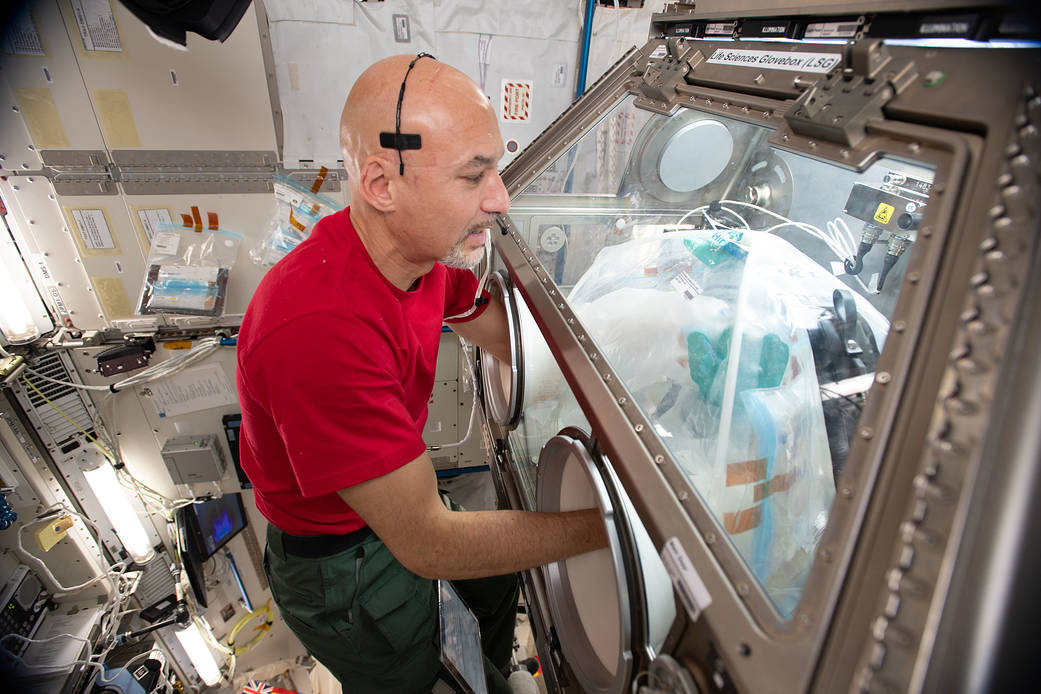 Luca Parmitano of ESA conducts science operations in the Life Sciences Glovebox