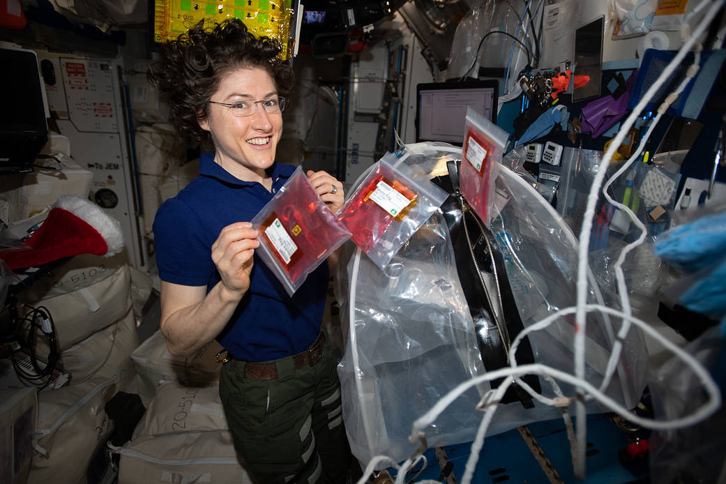 NASA astronaut Christina Koch services a 3-D biological printer