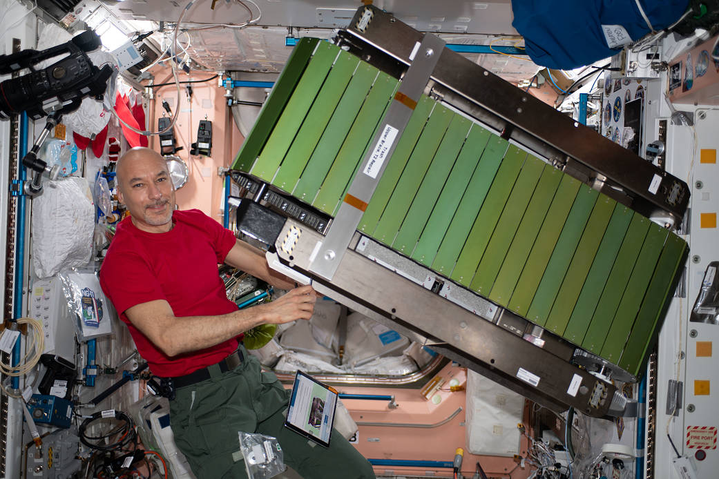 Expedition 61 Commander Luca Parmitano inspects a new treadmill