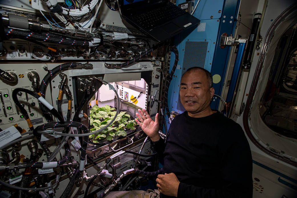 Expedition 64 Flight Engineer Soichi Noguchi of JAXA