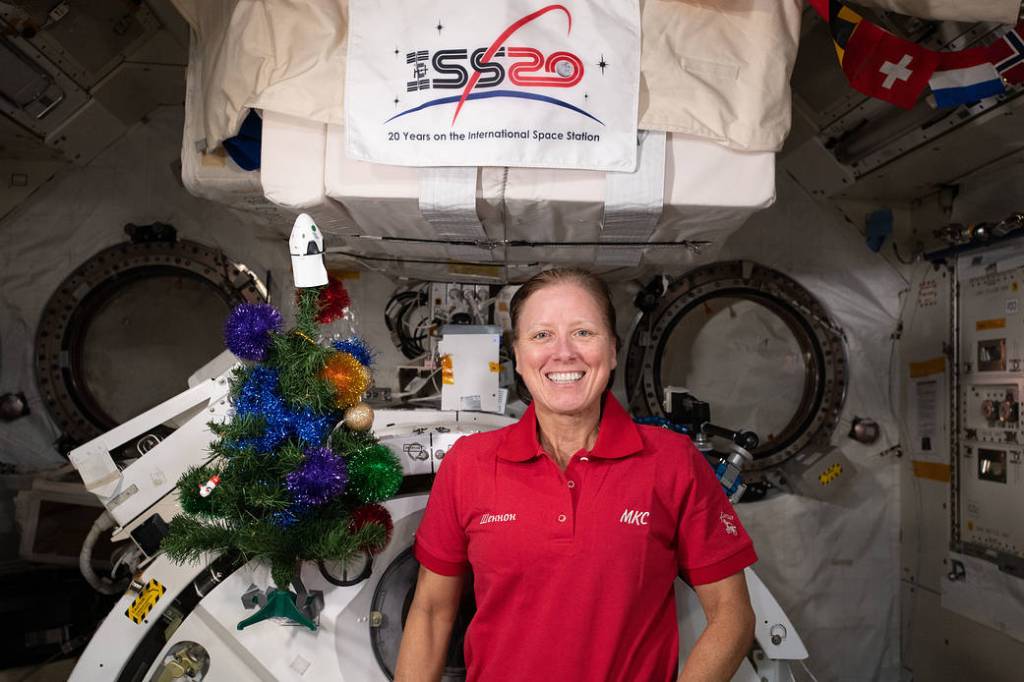 NASA astronaut Shannon Walker poses for a holiday season portrait