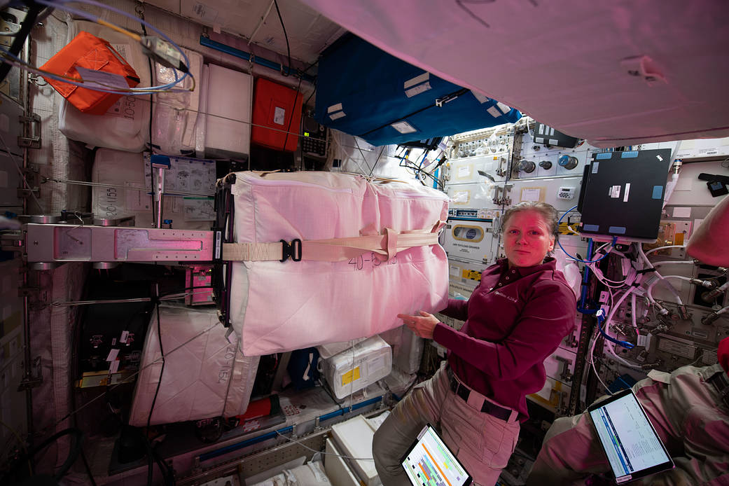 Astronaut Shannon Walker works in the Columbus laboratory module
