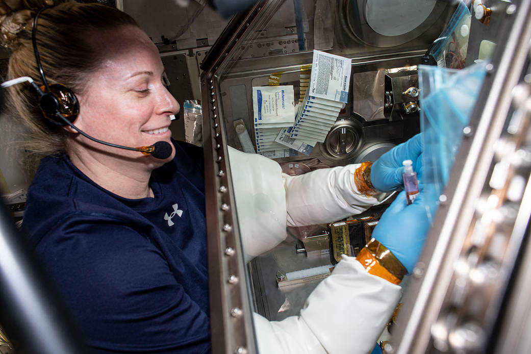 Astronaut Kate Rubins explores the aging and weakening of heart muscles