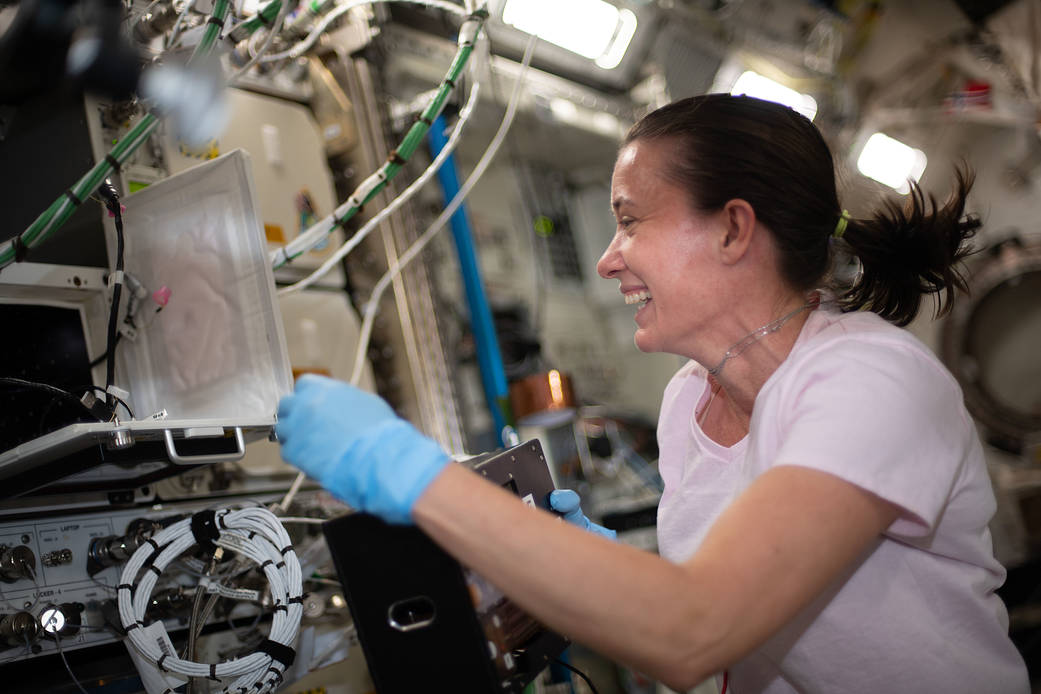 Astronaut Megan McArthur works on the Kidney Cells-02 experiment