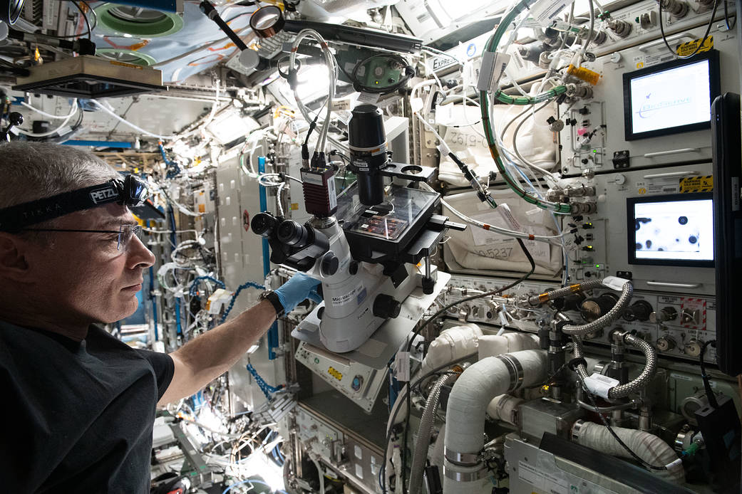 Astronaut Mark Vande Hei works on the Cardinal Muscle investigation