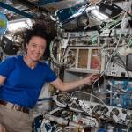 宇航员梅根·麦克阿瑟安装了一个女童子军科学设施