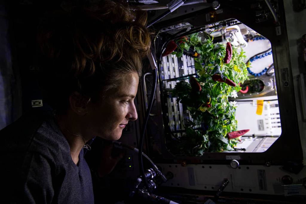 Astronaut Kayla Barron checks out chile peppers growing in the station