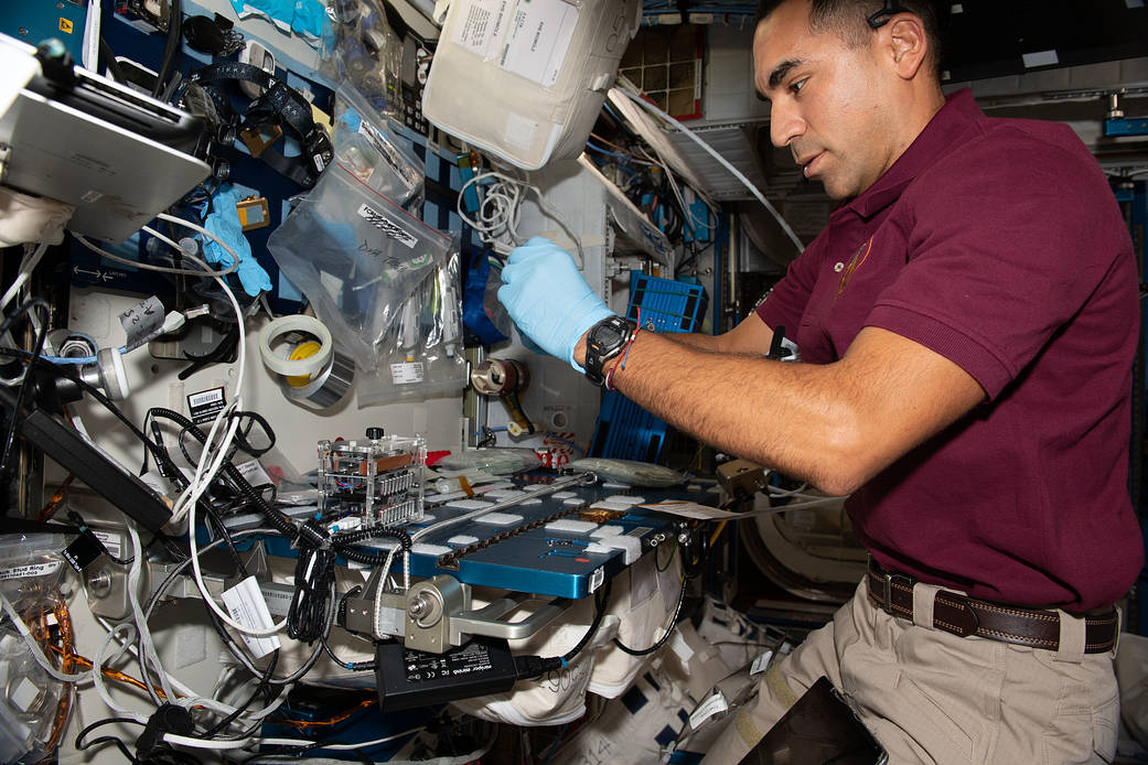 Astronaut Raja Chari Sequences DNA From Bacteria Samples - NASA