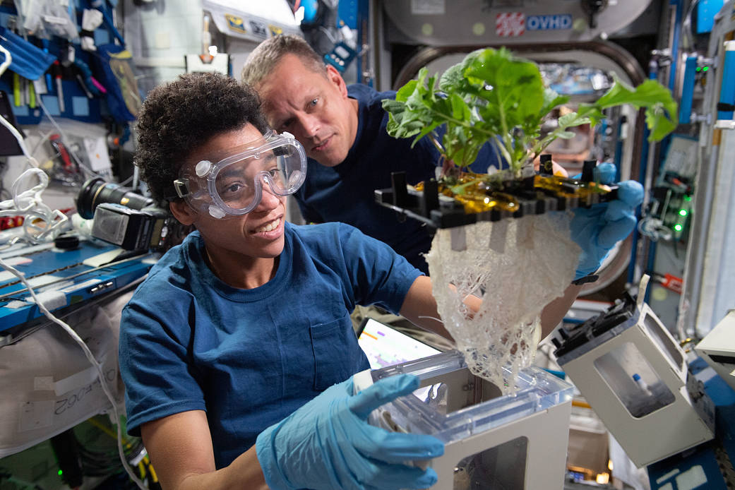 Astronauts Jessica Watkins and Bob Hines work on a space botany study