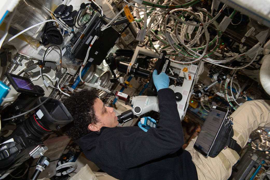 Astronaut Jessica Watkins sets up cell samples for viewing in a microscope