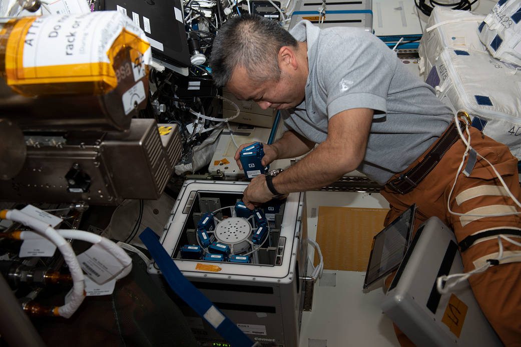 Astronaut Koichi Wakata removes experiment containers