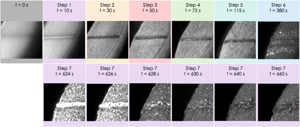 Avcoat Test Articles