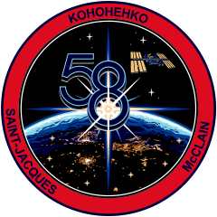 Expedition 58 Insignia