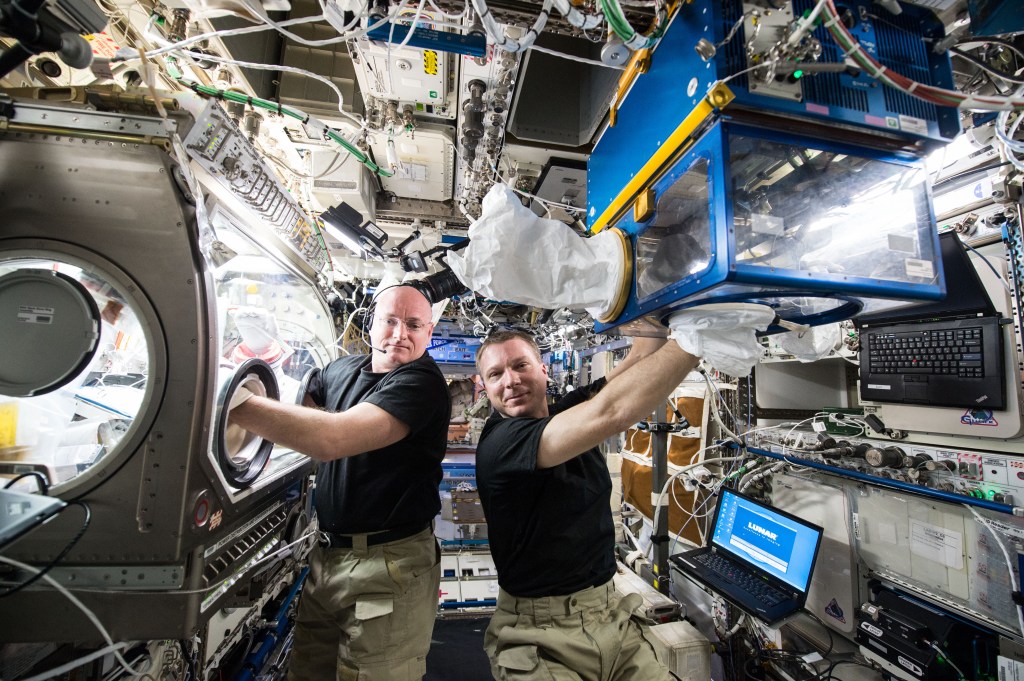 Rodent Research on ISS