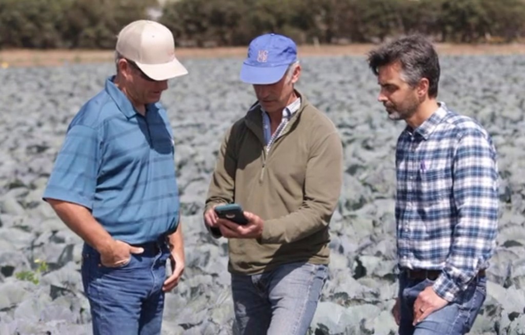 OpenET Program Manager Forrest Melton stands in field with two farmers, checking satellite data on a handheld device.