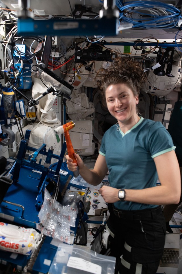 NASA astronaut and Expedition 67 Flight Engineer Kayla Barron is pictured during maintenance activities aboard the International Space Station.