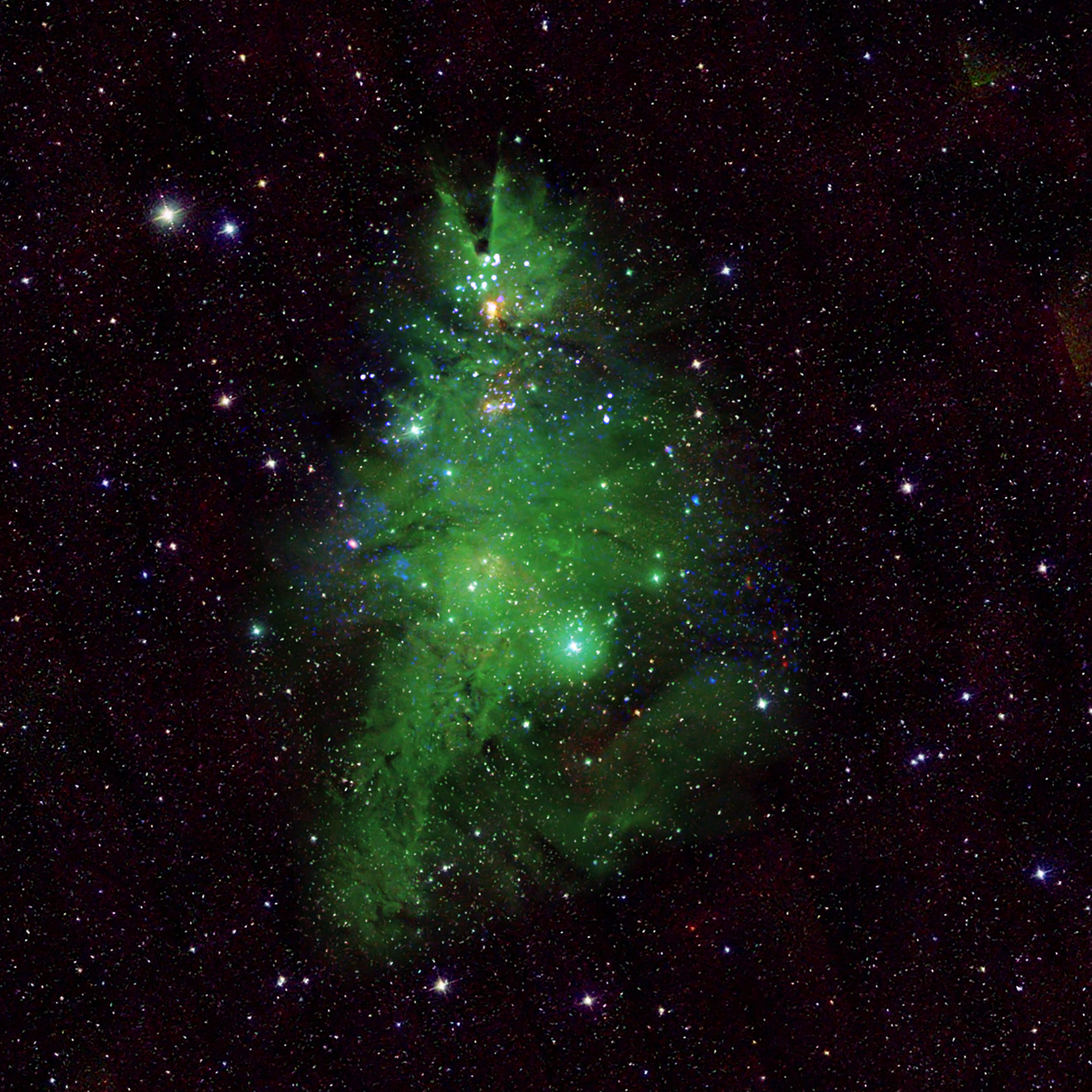 NGC 2264: Telescopes Illuminate 'Christmas Tree Cluster'