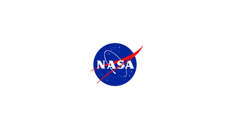 NASA meatball with white background