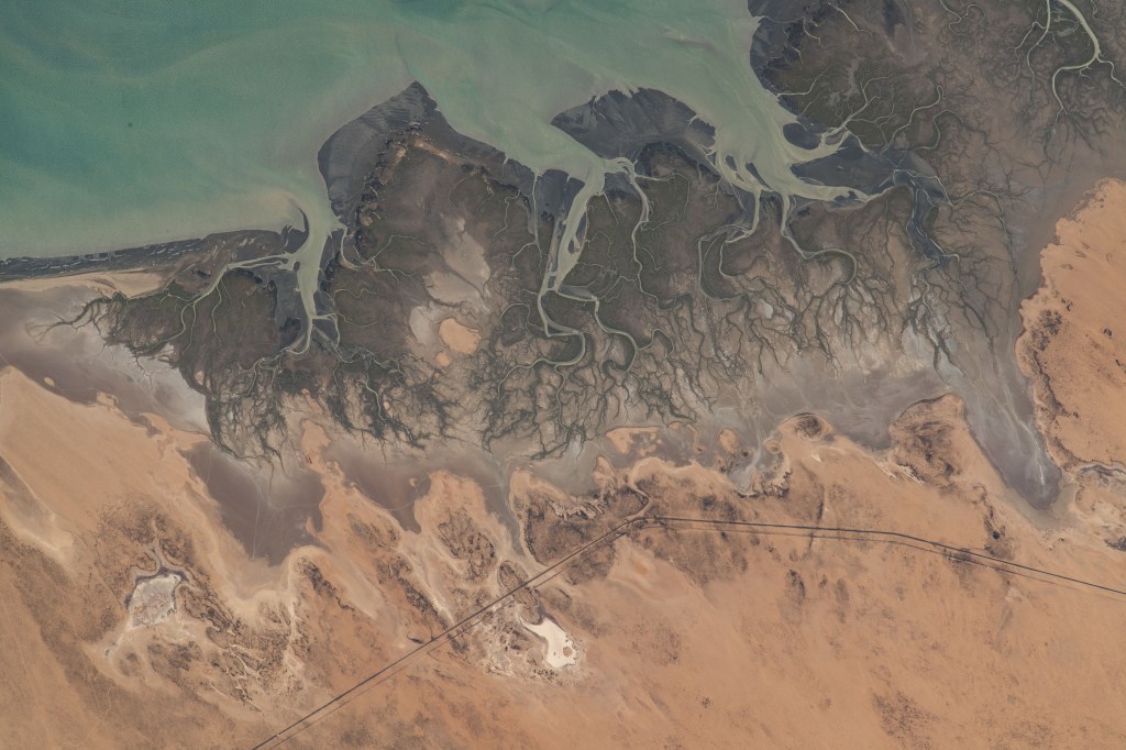 Rocky Point in Sonora, Mexico, on the Gulf of California is pictured from the International Space Station as it orbited 258 miles above.