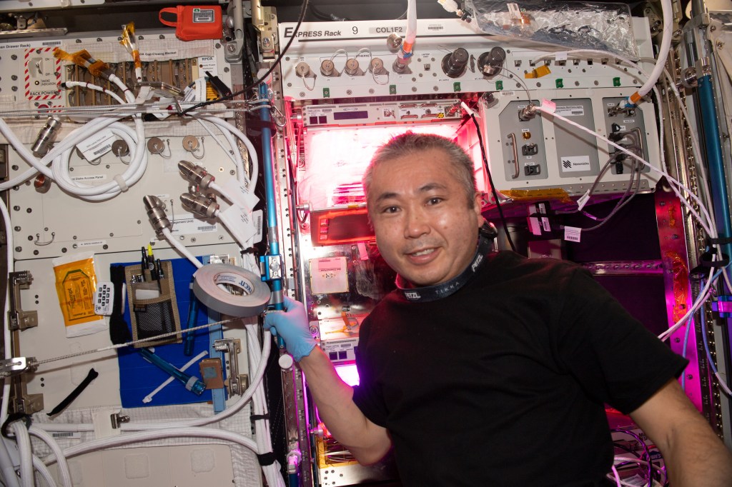 iss068e038960 (Jan. 7, 2023) --- Expedition 68 Flight Engineer Koichi Wakata of the Japan Aerospace Exploration (JAXA) poses in front of the VEGGIE space botany research facility after tending to tomato plants growing aboard the International Space Station.