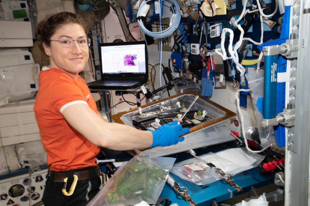 NASA astronaut and Expedition 59 Flight Engineer Christina Koch conducts botany research aboard the International Space Station.