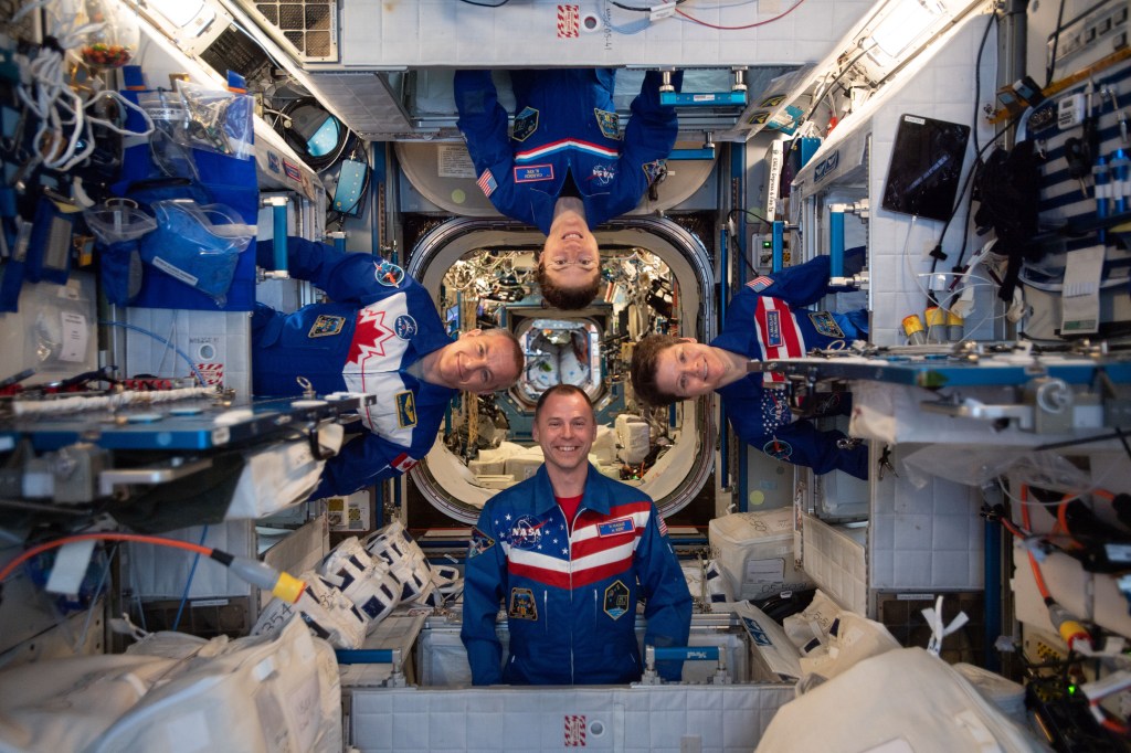 Four Expedition 59 astronauts pose for a playful portrait inside the Harmony module. Clockwise from left are astronaut David Saint-Jacques of the Canadian Space Agency; and NASA astronauts Christina Koch, Anne McClain and Nick Hague.
