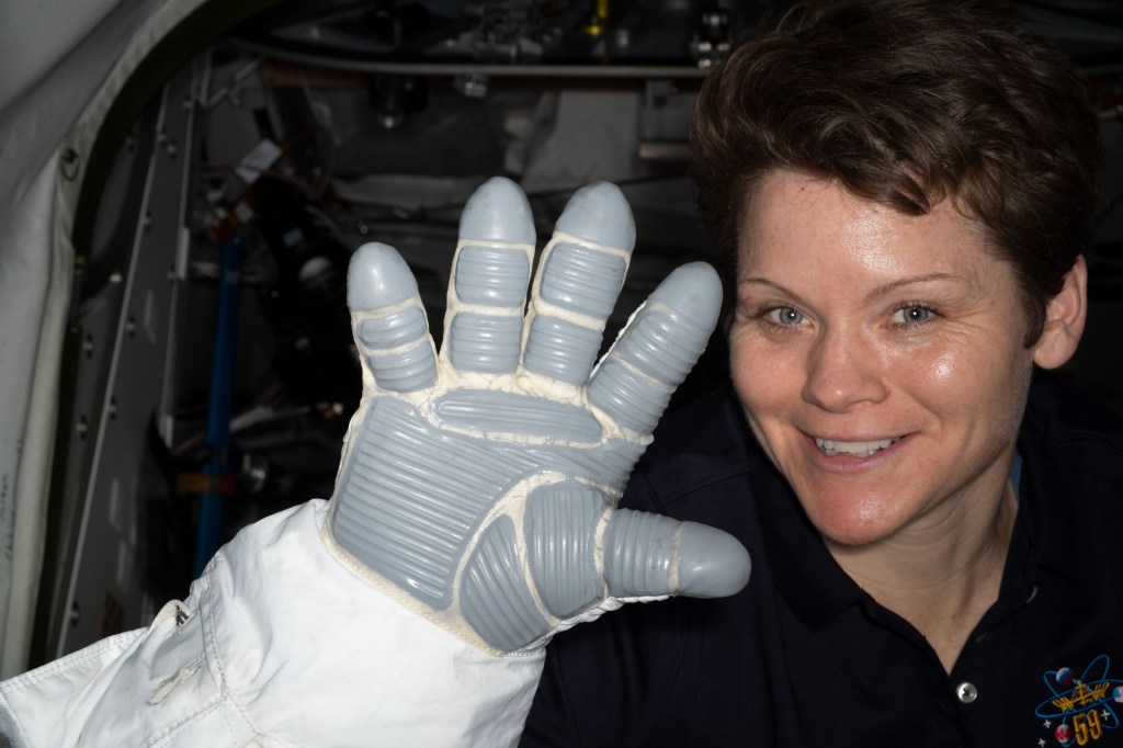 NASA astronaut Anne McClain displays a spacesuit glove that is part of an Extravehicular Mobility Unit, or spacesuit, worn during spacewalks staged from the U.S. Quest joint airlock. A U.S. spacesuit glove consists of several layers for extra thermal protection and comfort. Thermofoil heaters are also attached inside each of the fingertips in one of the layers of the glove.