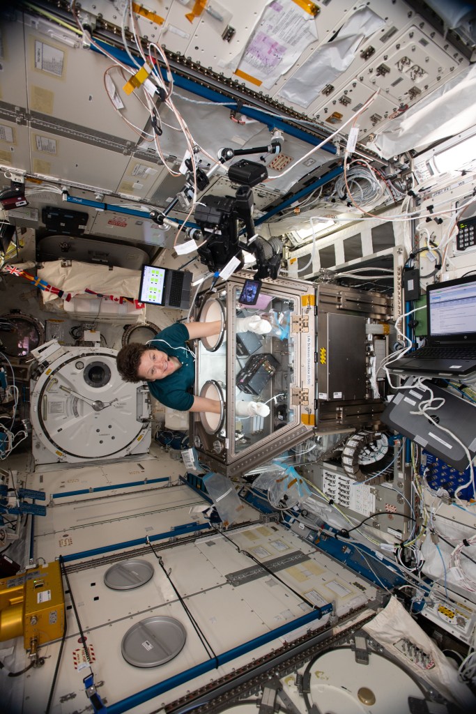 NASA astronaut Anne McClain works on Kidney Cells hardware inside the Life Sciences Glovebox located in Japan's Kibo laboratory module. Kidney Cells is an investigation that is seeking innovative treatments for kidney stones, osteoporosis and toxic chemical exposures to protect the health of astronauts in space and humans on Earth.